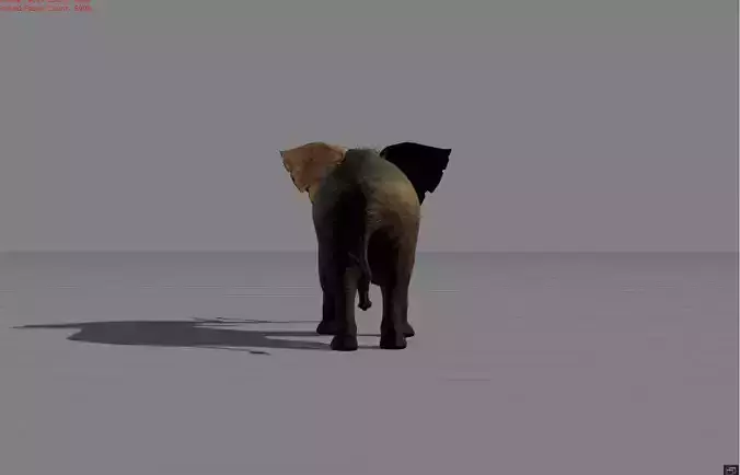 Elephant Animal 