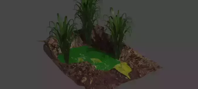 Animated model of a pond