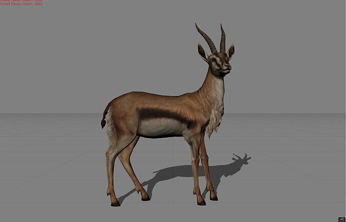 Deer Gazelle animal Low-poly 3D model