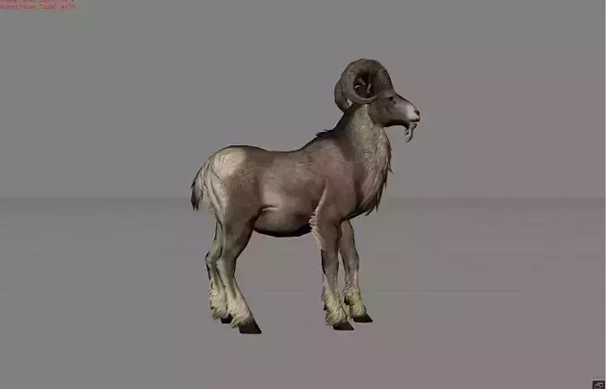 Fighter Goat Animal Low-poly 3D model