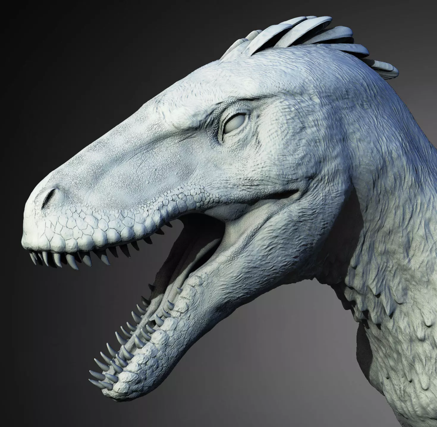 Utahraptor ostrommaysorum  3D print model_0