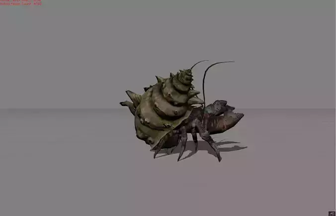 Hermit Crab Animal  Low-poly 3D model