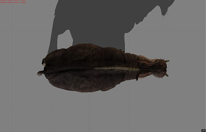 Hippopotamus Animal Low-poly 3D model
