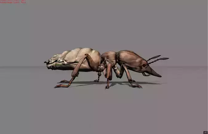 Termite Isopetra Animal Low-poly 3D model