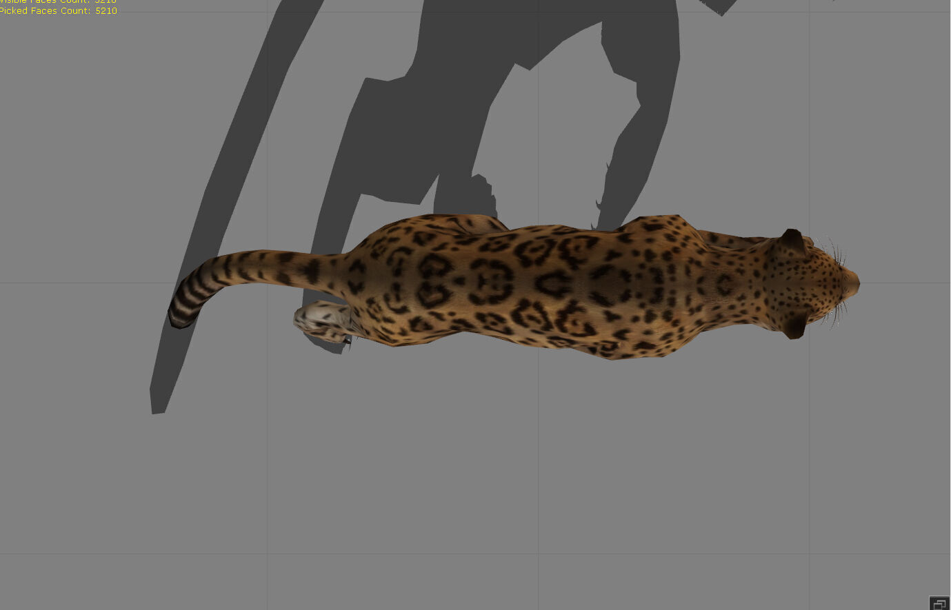 Jaguar Animal  Low-poly 3D model_5
