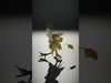 Leafy Forest Sprite Character  Rigged and Animated Low-poly 3D model_2