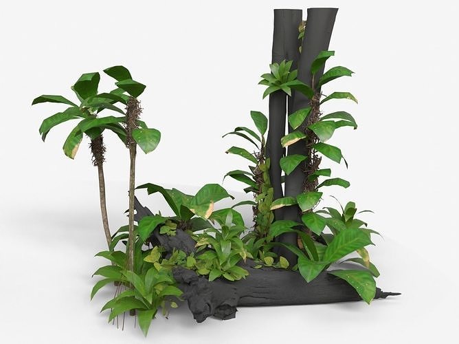 Tropical Climbing Plants Set 02 Low-poly 3D model