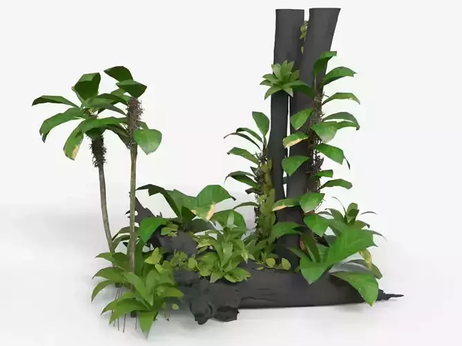 Tropical Climbing Plants Set 02 Low-poly 3D model