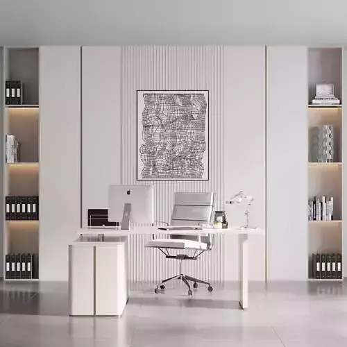 OFFICE FURNITURE NO10 A