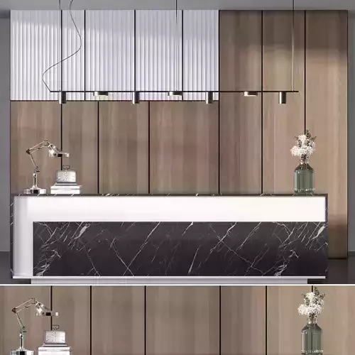 RECEPTION DESK NO15 A