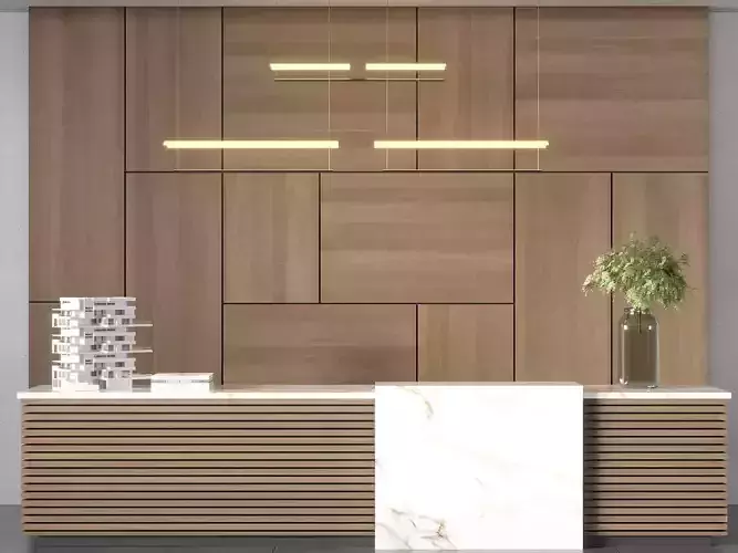 RECEPTION DESK NO12 A