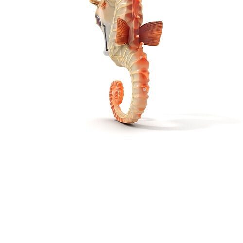 Animated Seahorse Character Model Pack for Creative Projects Low-poly 3D model