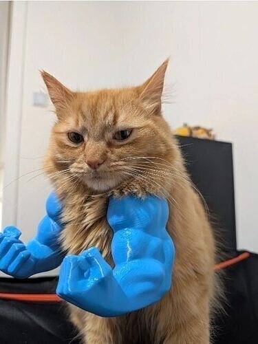 Hulk arm for cat and dog 3D print model