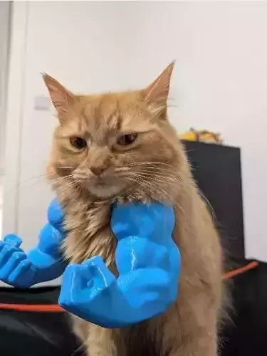 Hulk arm for cat and dog 3D print model