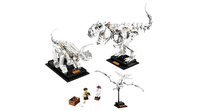 TwindBricks3D - 21320 Dinosaur Fossils 3D print model