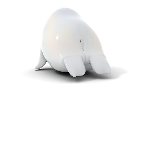 Cute Cartoon Walrus Model Pack Low-poly 3D model