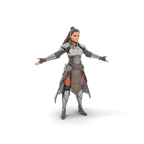 Armored Warrior Princess Rigged and Animated D Model Low-poly 3D model