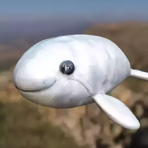 Cartoon Beluga Whale Low-poly 3D model