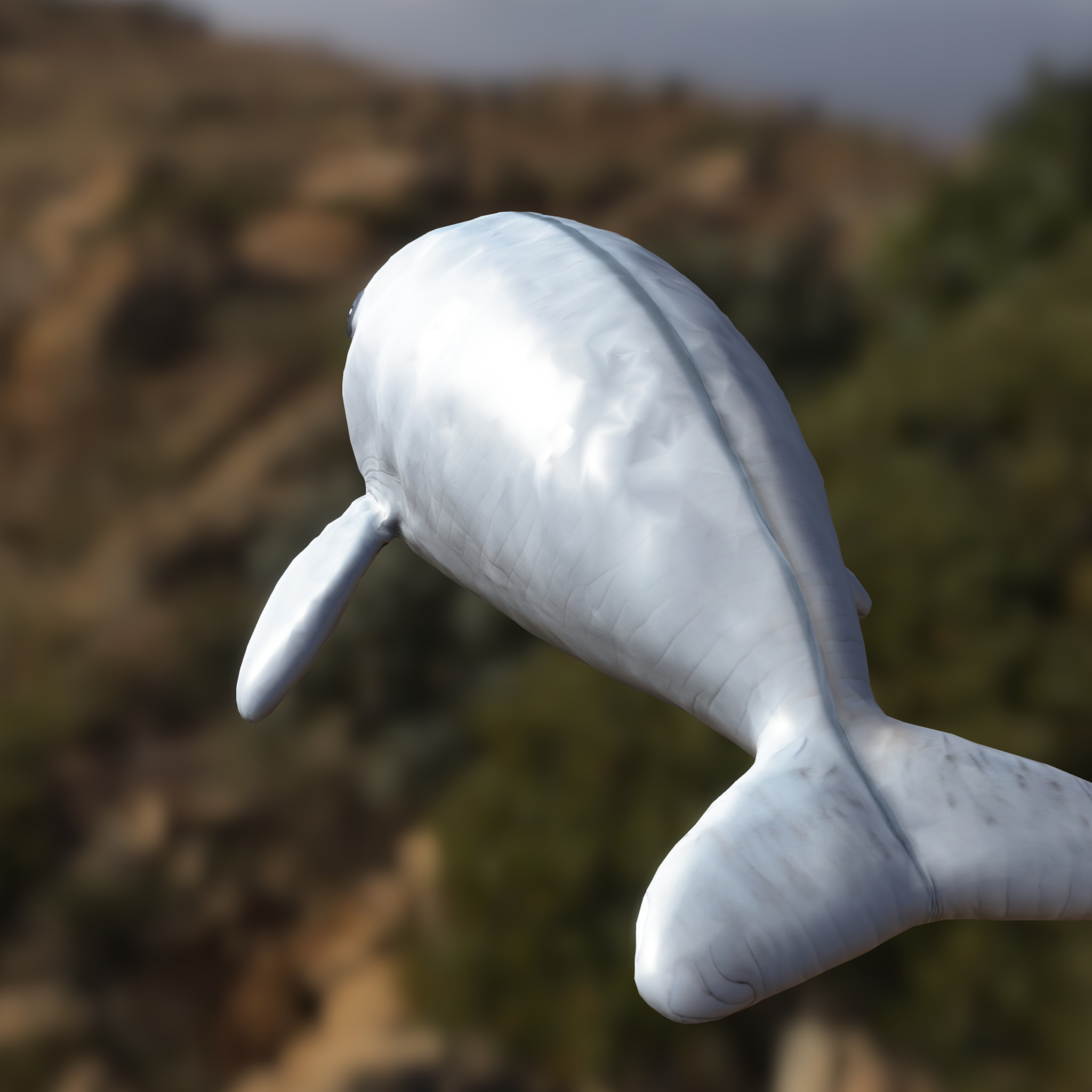 Cartoon Beluga Whale Low-poly 3D model_2