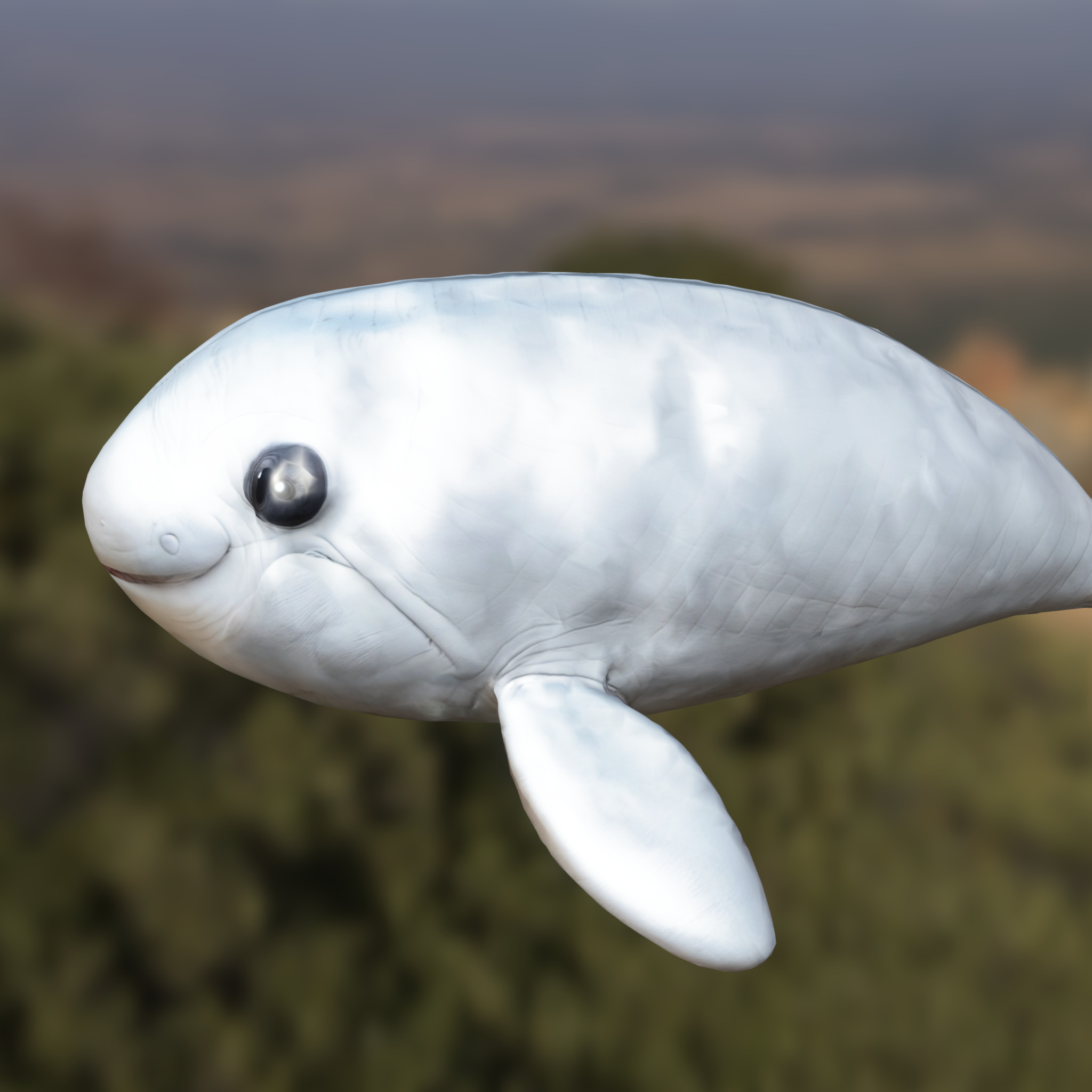 Cartoon Beluga Whale Low-poly 3D model_1