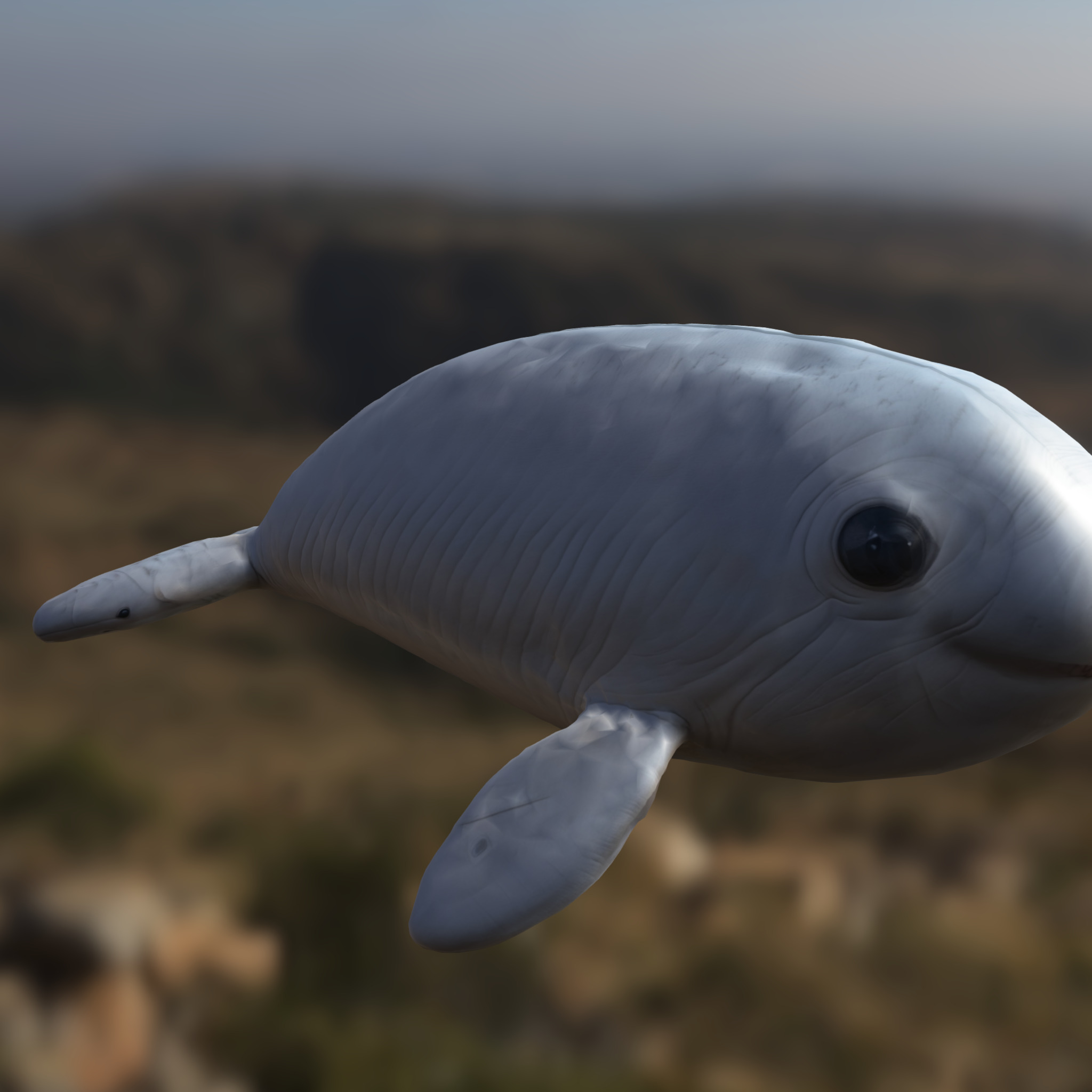 Cartoon Beluga Whale Low-poly 3D model_4