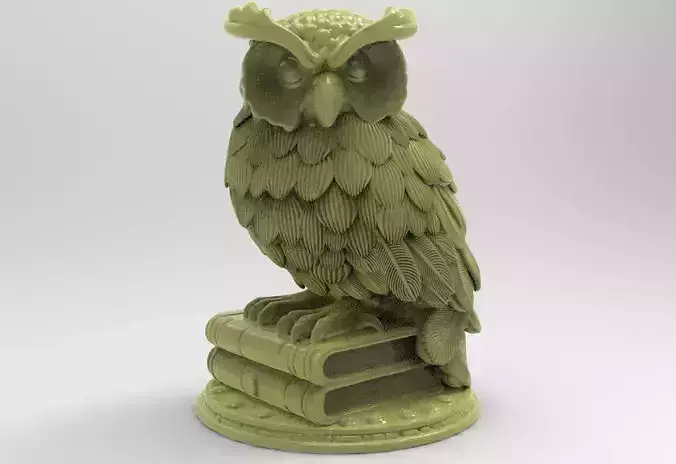 Owl and book