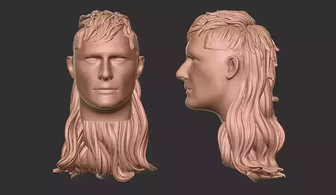 hair 48 3D print model