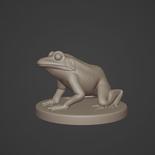 Little Frog 3D print model