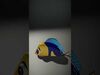 Undersea Cartoon World Collection _38