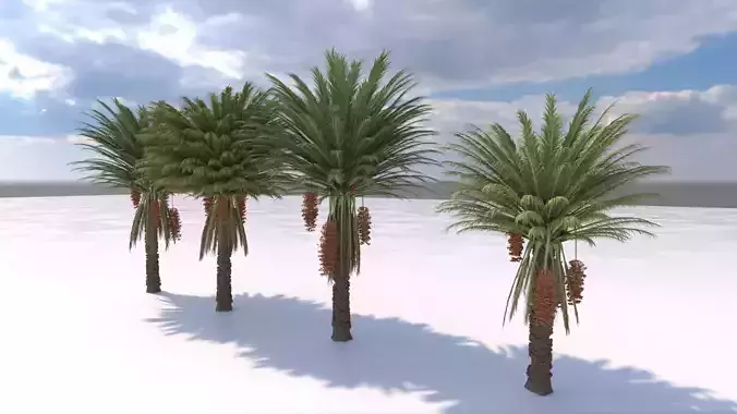 4 Stylized Date Palm Tree Variations 