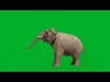 Asian Asiatic Elephant Low-poly 3D model_2