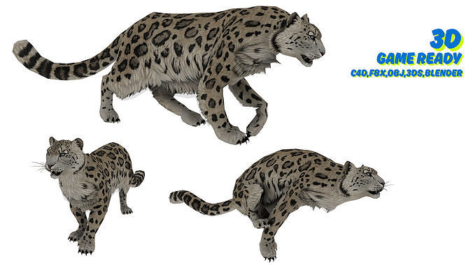 Realistic Leopard 3D Model  Game-Ready  Rigged  Low Poly Low-poly 3D model