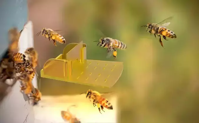 Beehive Door Entrance Platform German Standard