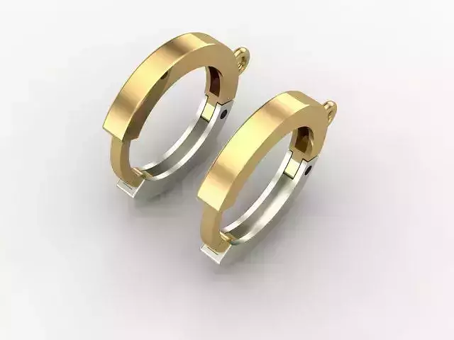 Round Gold Earring