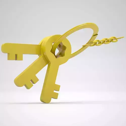 Keychain with Plastic Yellow Keys