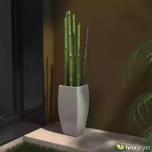 Plantpot with Bamboo Canes