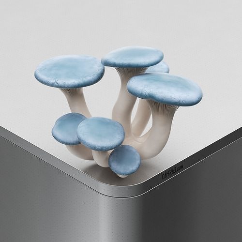 Mushroom Pleurotus pulmonarius Low-poly 3D model