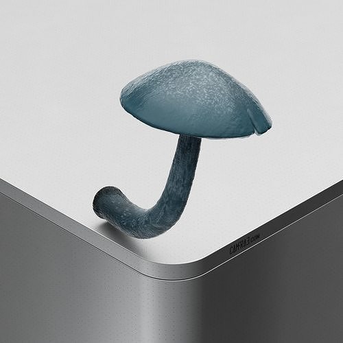 Mushroom Panaeolus cyanescens Low-poly 3D model