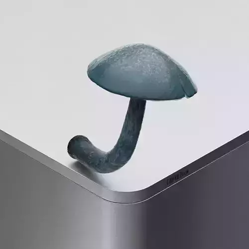 Mushroom Panaeolus cyanescens