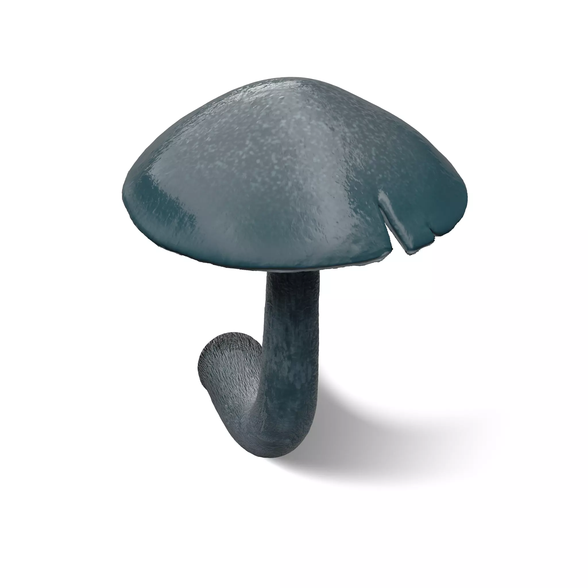 Mushroom Panaeolus Cyanescens Low-poly 3D model