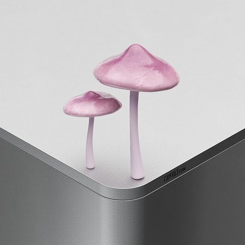 Mushroom Mycena Low-poly 3D model
