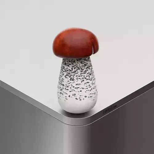 Mushroom Leccinum scabrum