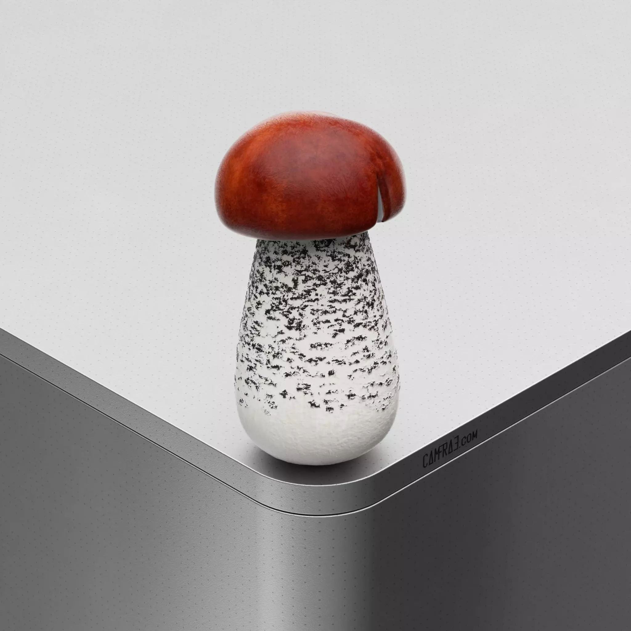 Mushroom Leccinum scabrum Low-poly 3D model_0