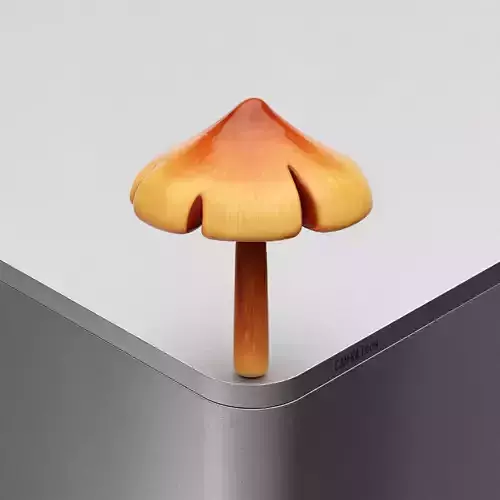 Mushroom Hygrocybe conica