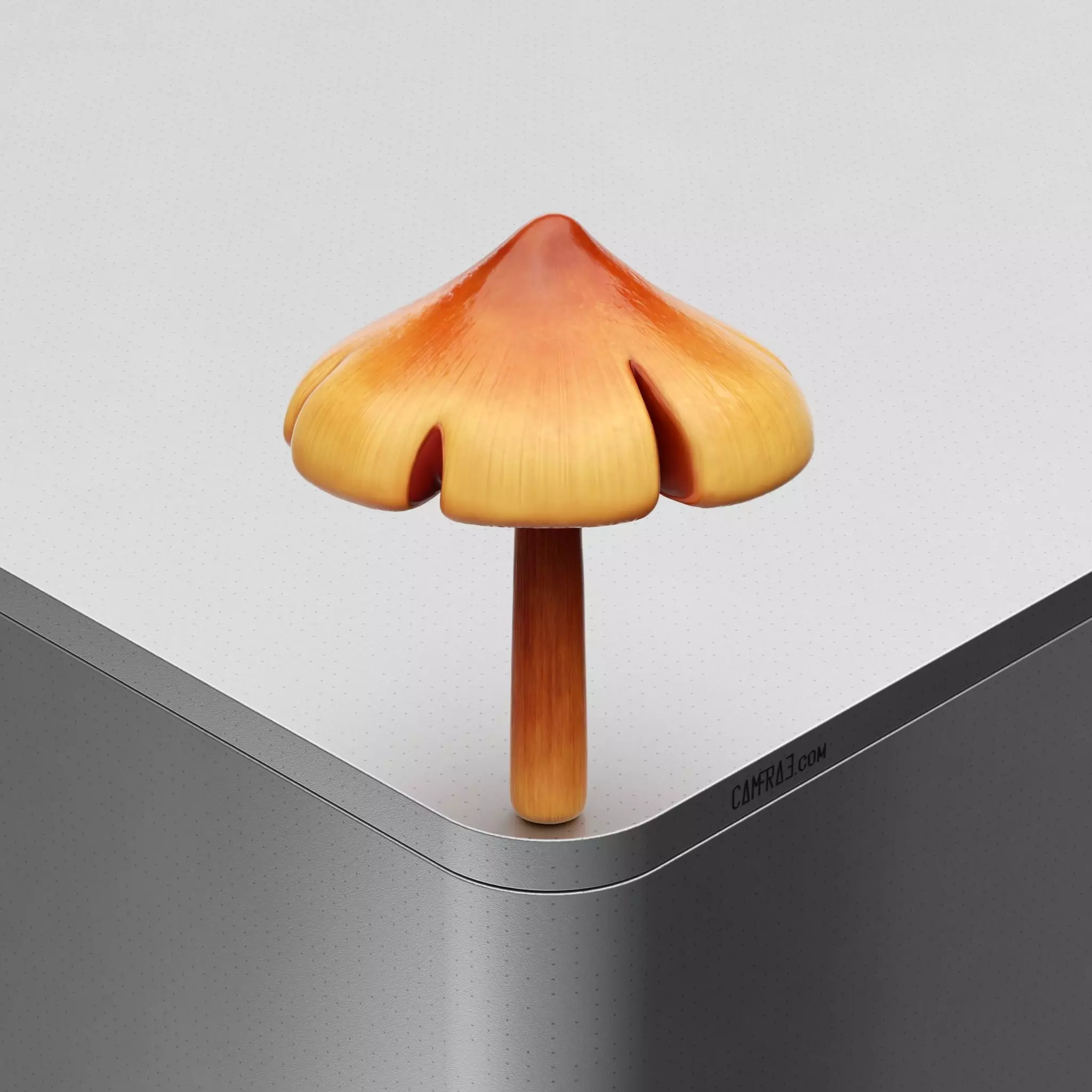 Mushroom Hygrocybe conica Low-poly 3D model_0