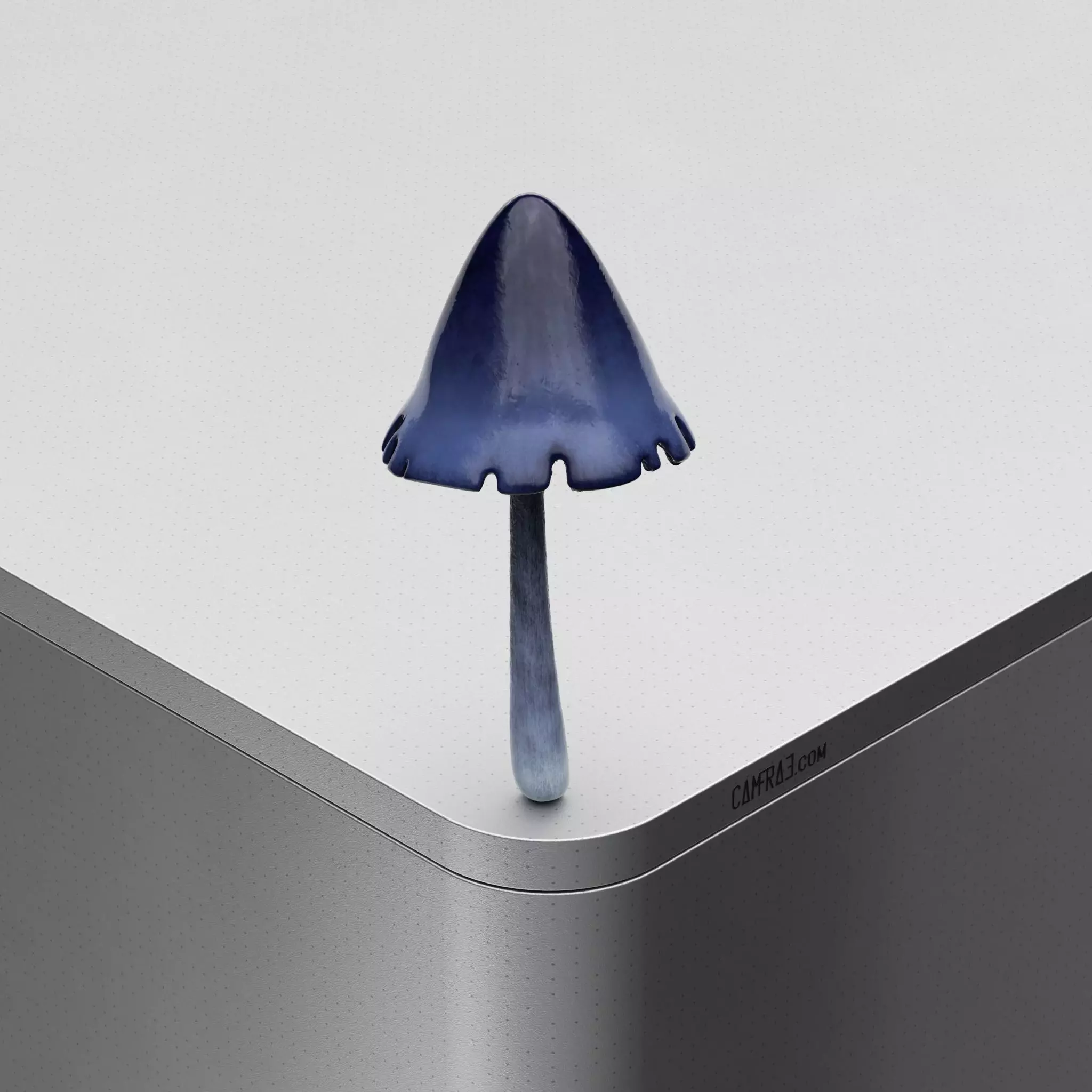 Mushroom Coprinopsis atramentaria Low-poly 3D model_0