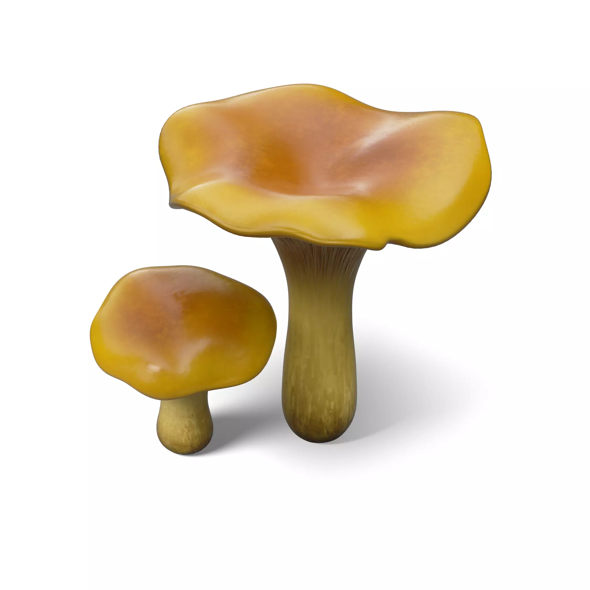 Mushroom Cantharellus Cibarius Low-poly 3D model