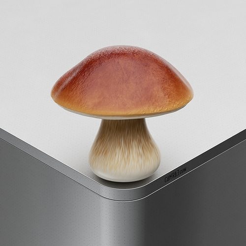 Mushroom Boletus edulis Low-poly 3D model