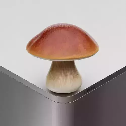 Mushroom Boletus edulis