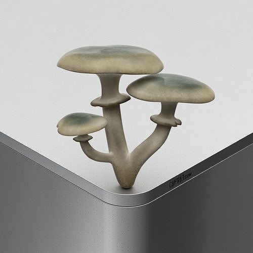 Mushroom Amanita phalloides Low-poly 3D model